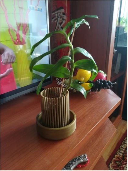 For orchid