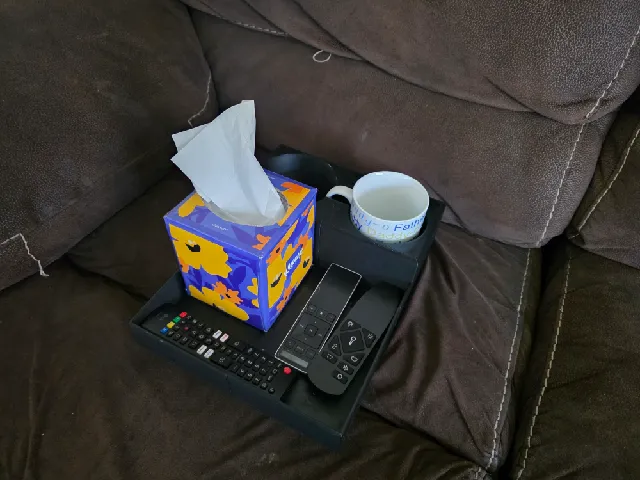 Couch Organizer