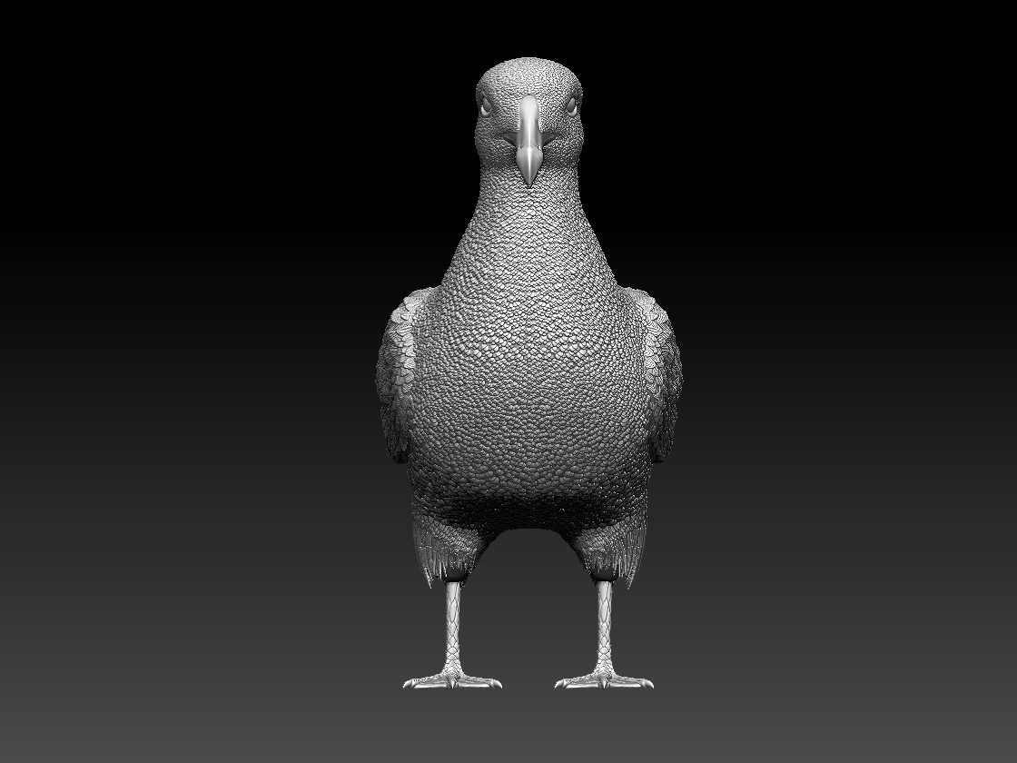 seagull — miniatura 5
