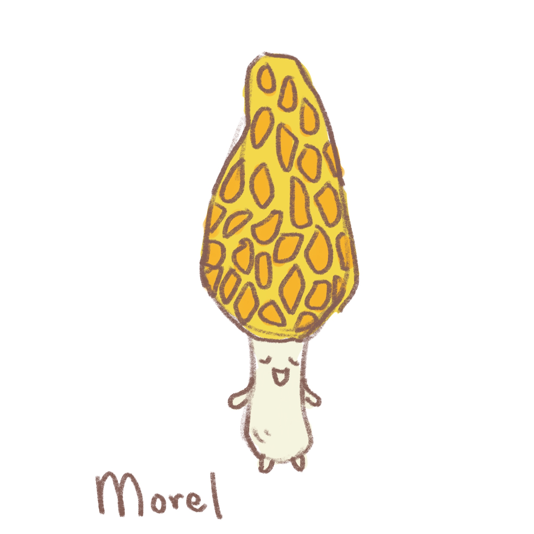 Morel Mushroom by Piccomoon | Download free STL model | Printables.com