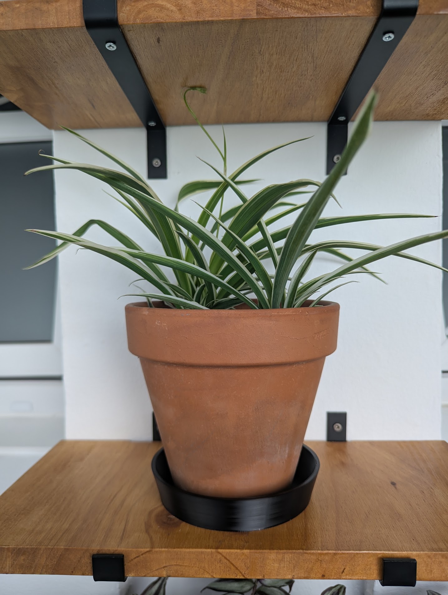 Parametric watertight planter dish — miniatura 2