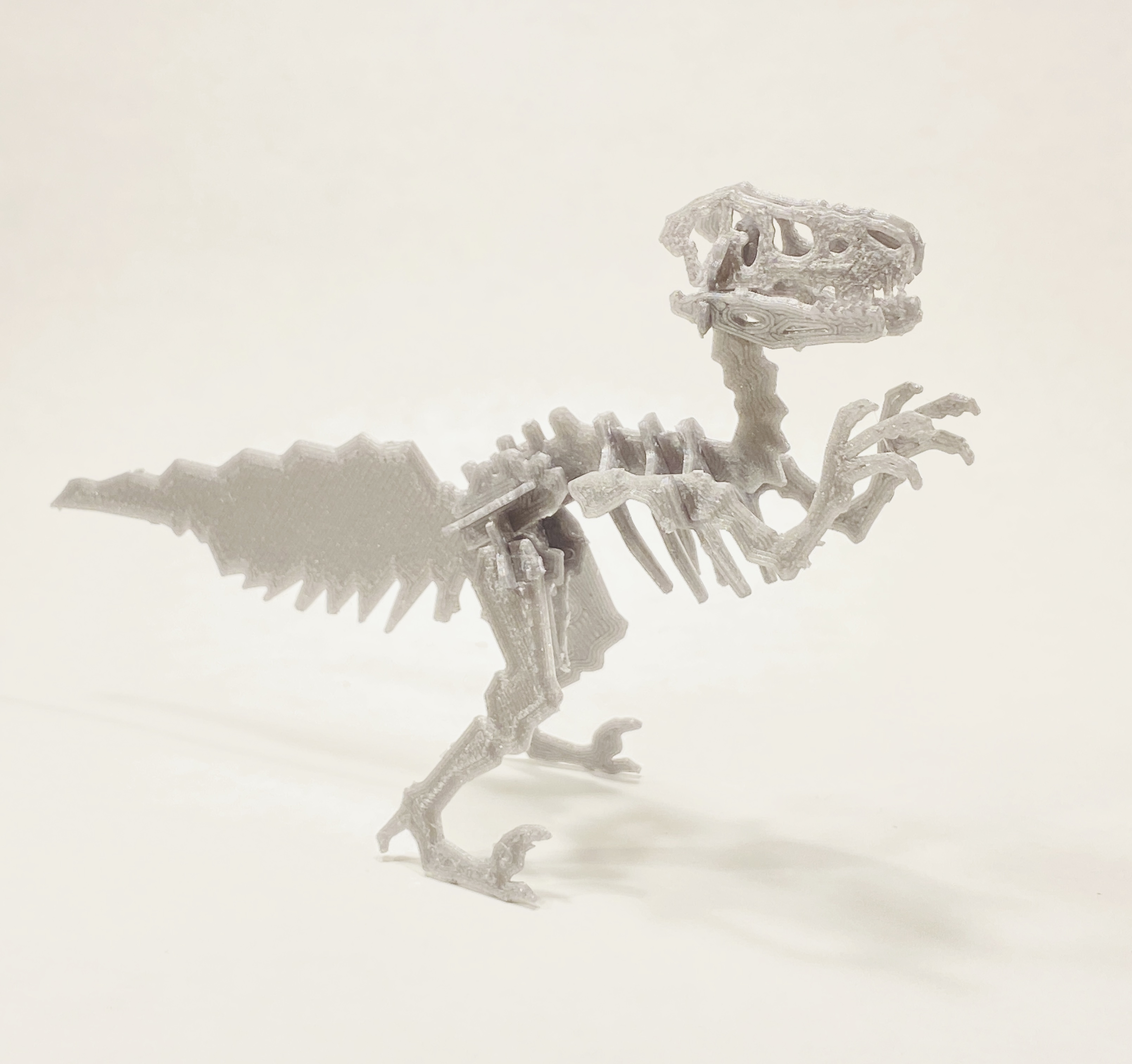 velociraptor-kit-card-by-r3d-download-free-stl-model-printables