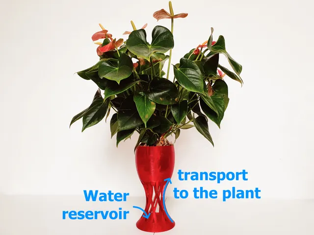 Self Watering Anti-Gravity Planter