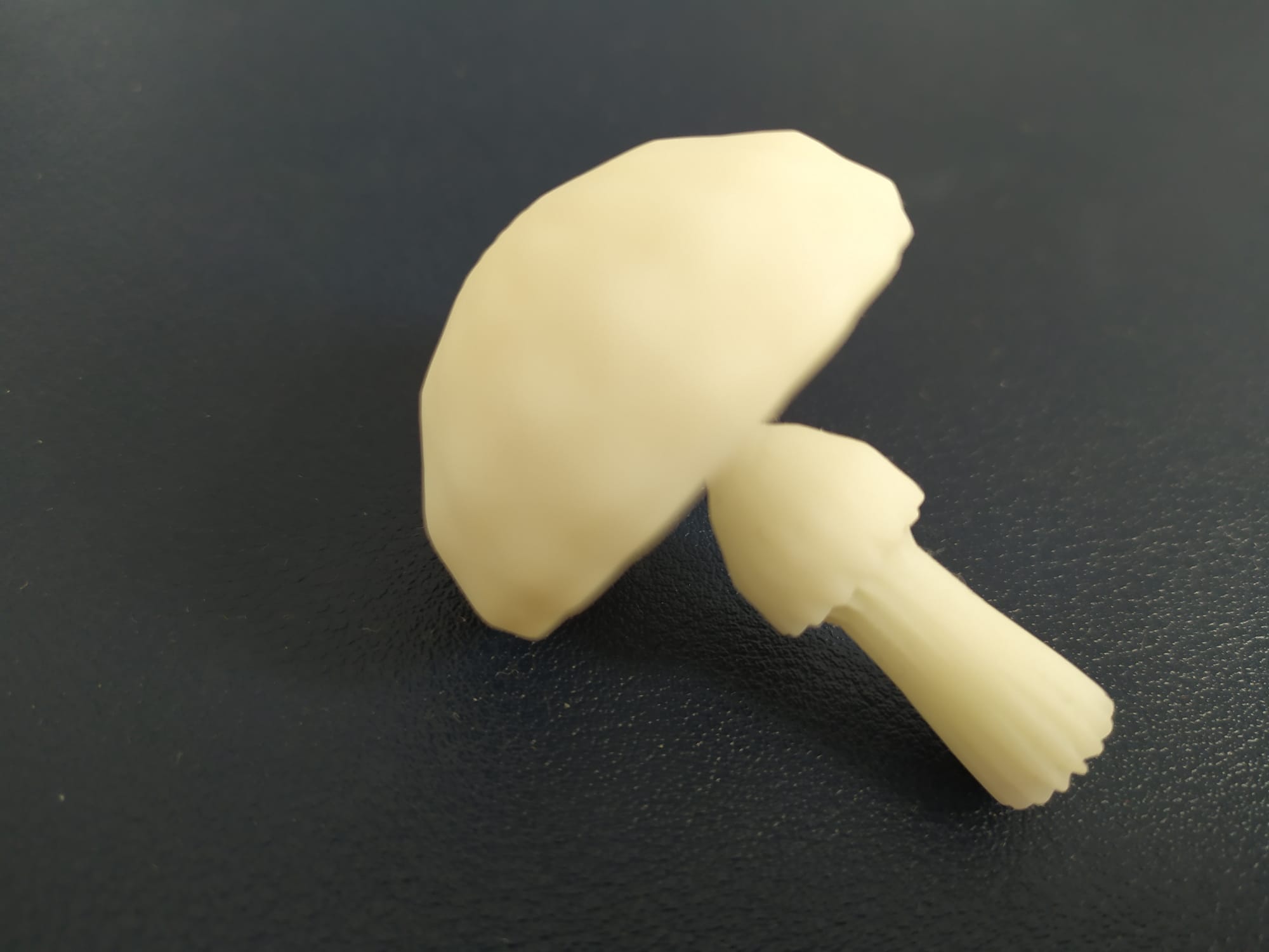 mushroom