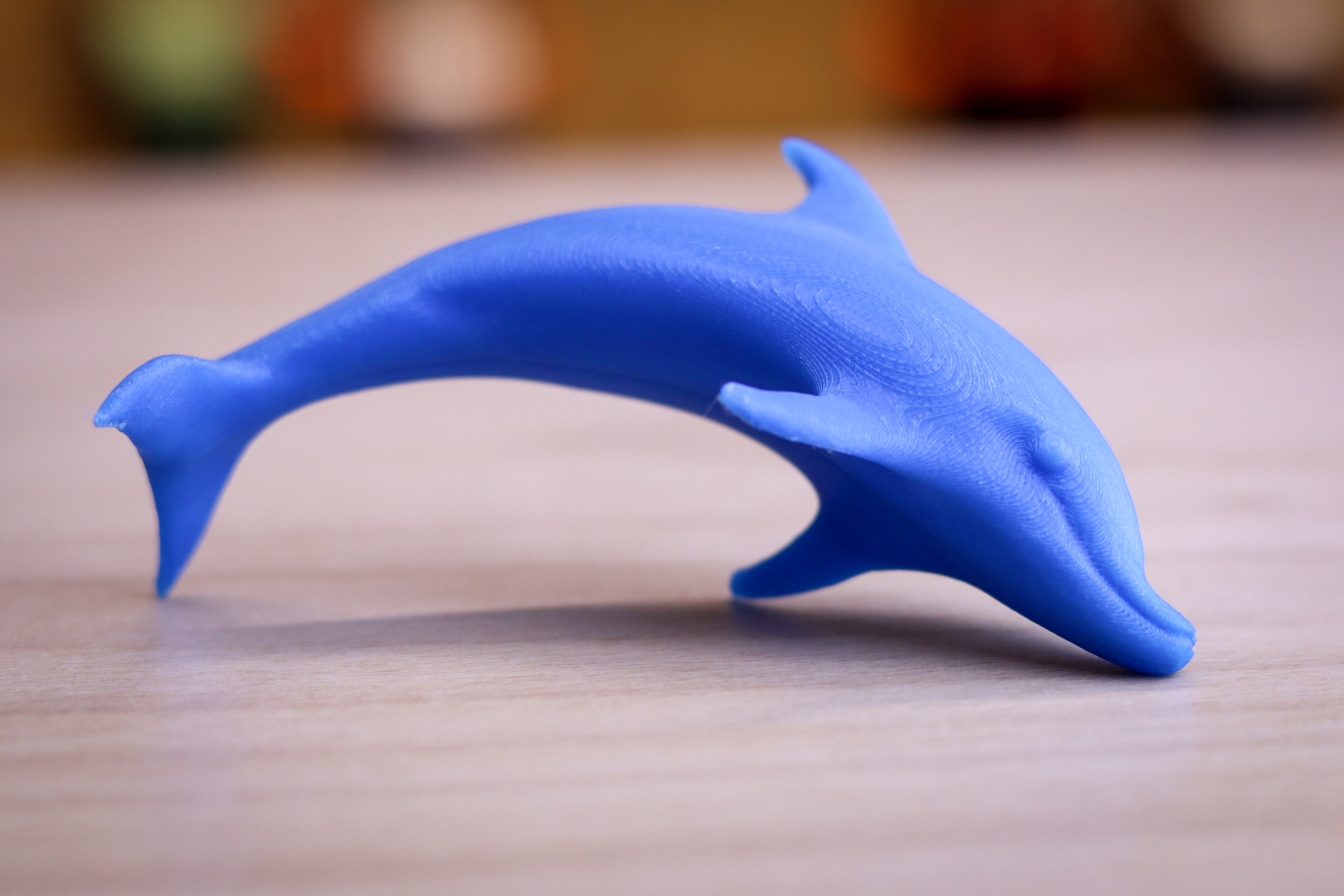 Dolphin