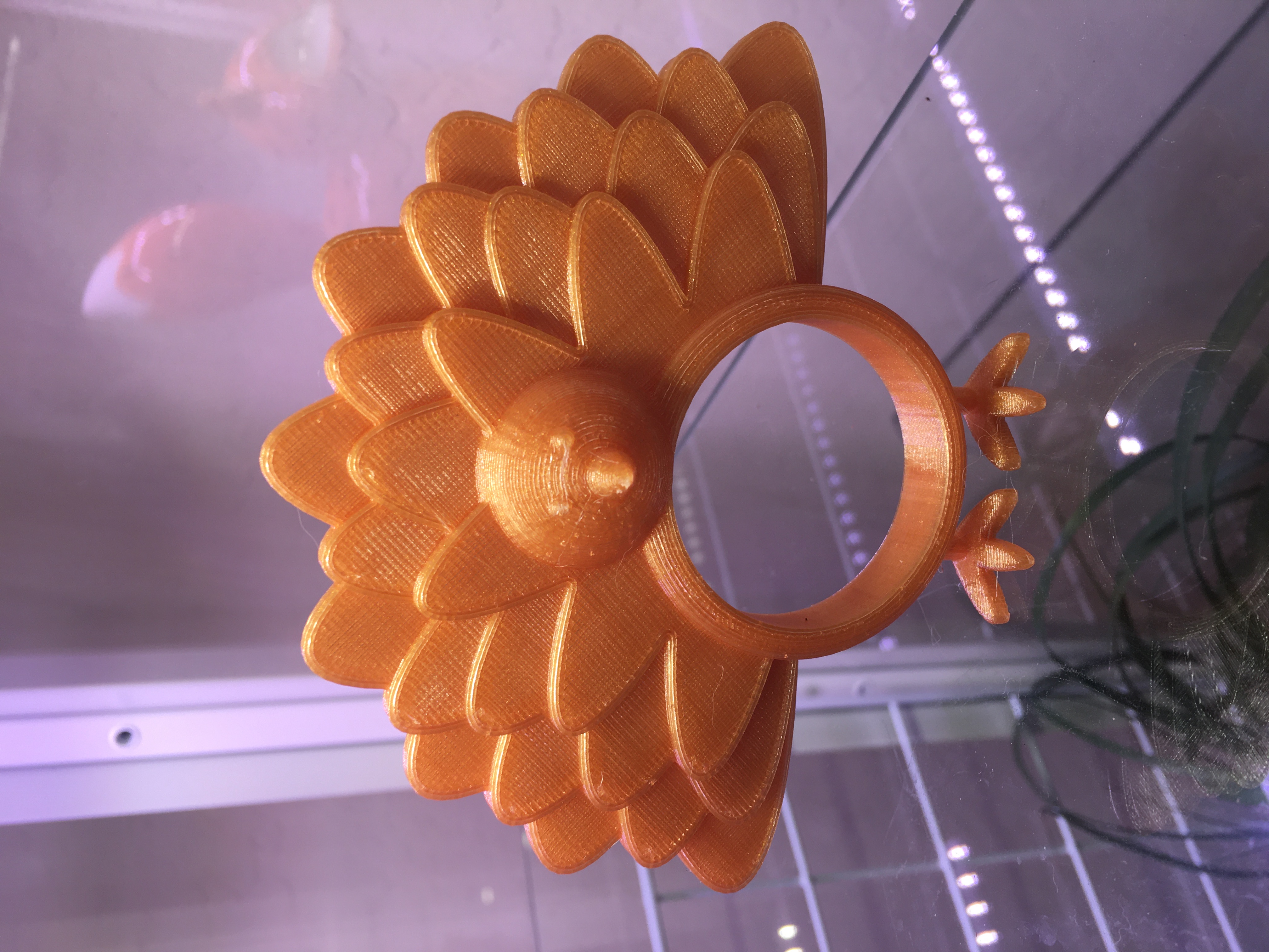 Thanksgiving Turkey Napkin RIng
