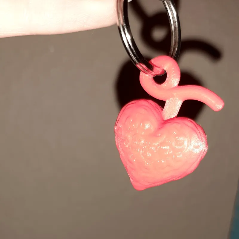 Ope Ope No Mi/Op Op Fruit Keychain by Dusty, Download free STL model