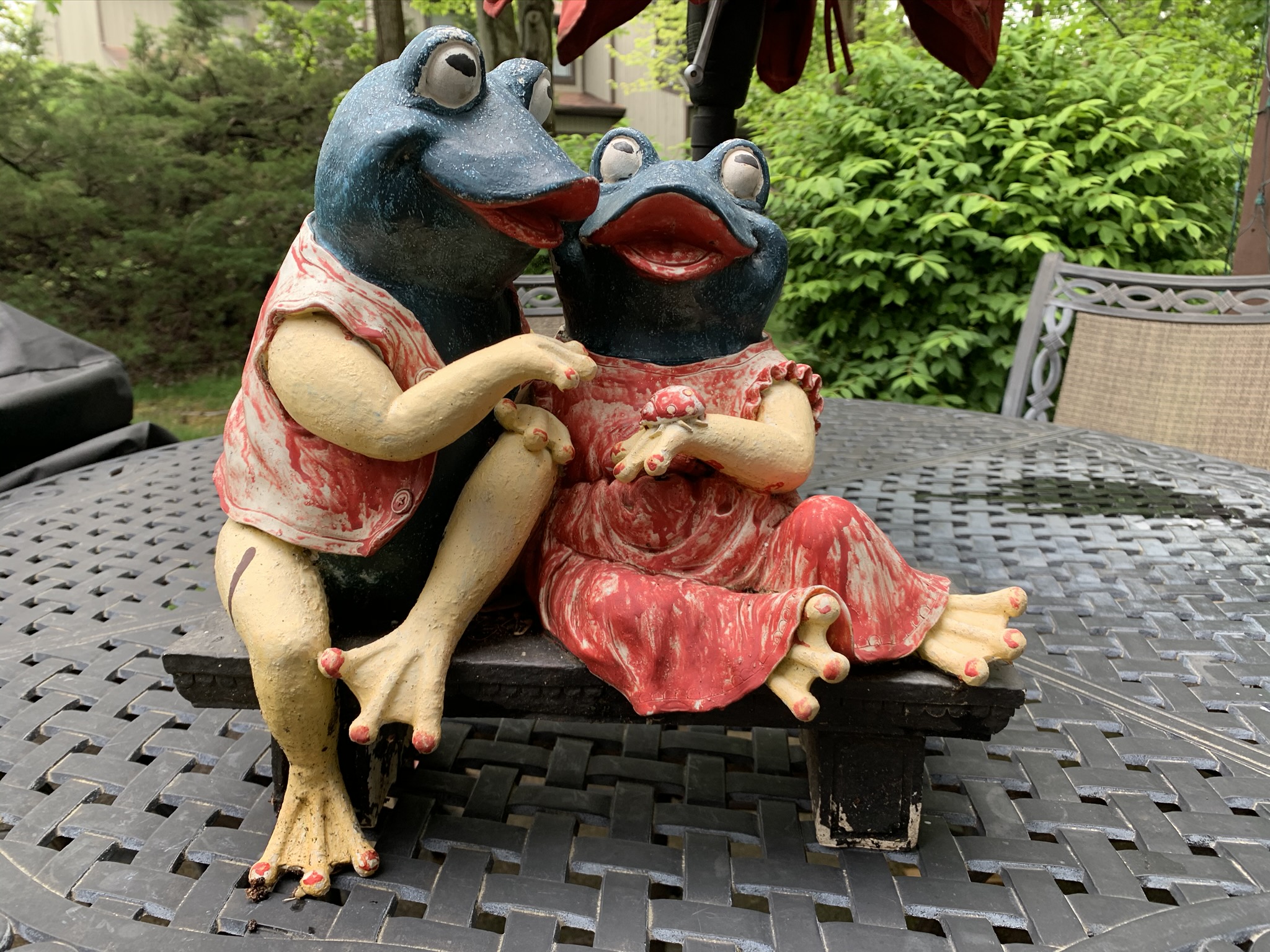 Frogs in Love