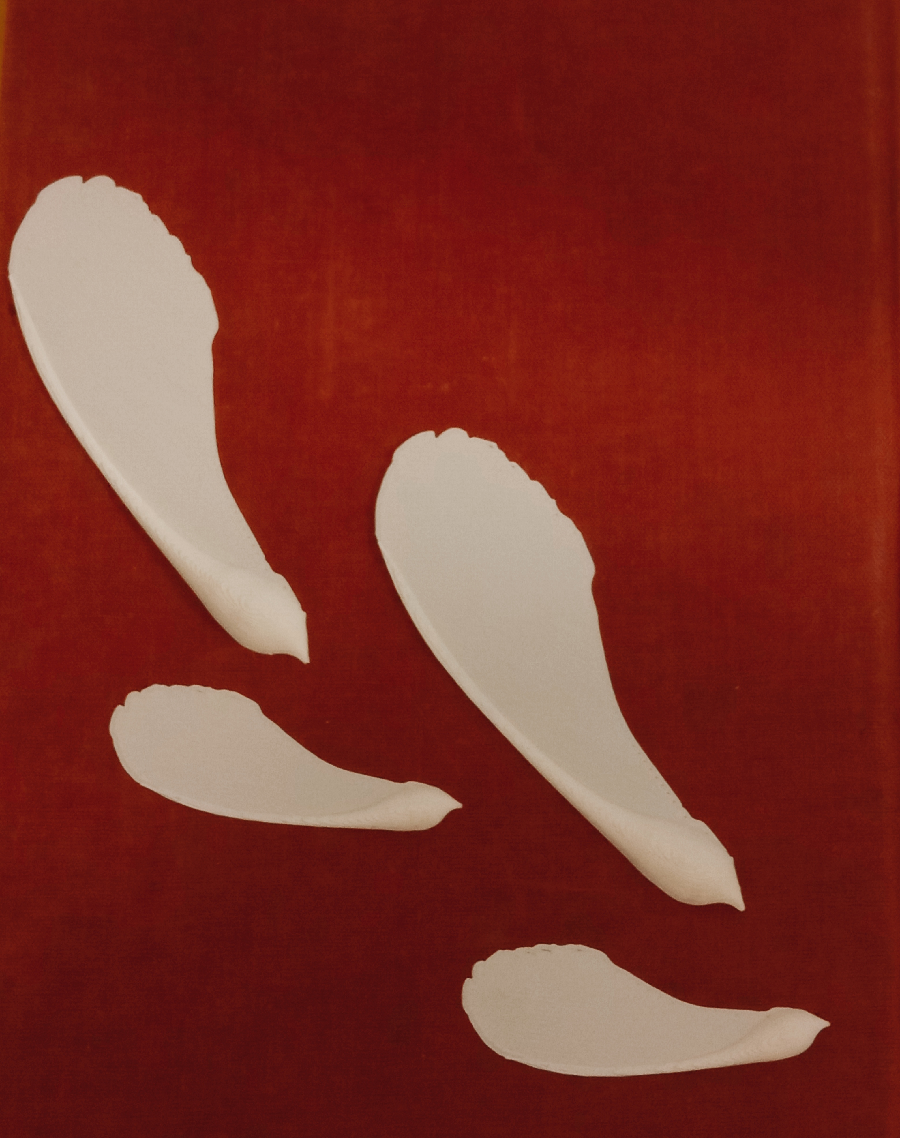 maple seed toy