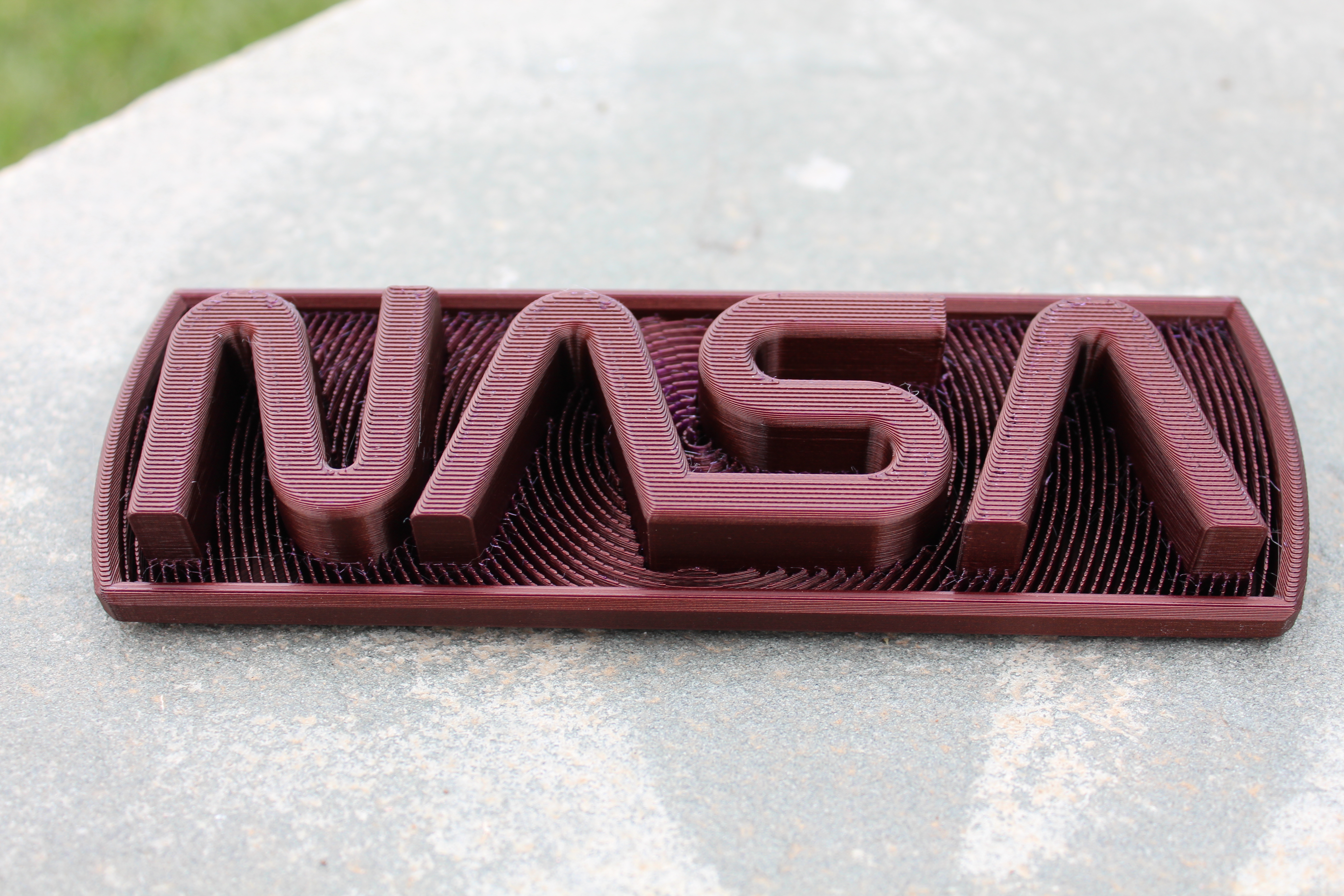 NASA Worm Logo Plaque