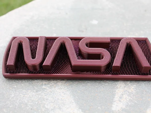 NASA Worm Logo Plaque