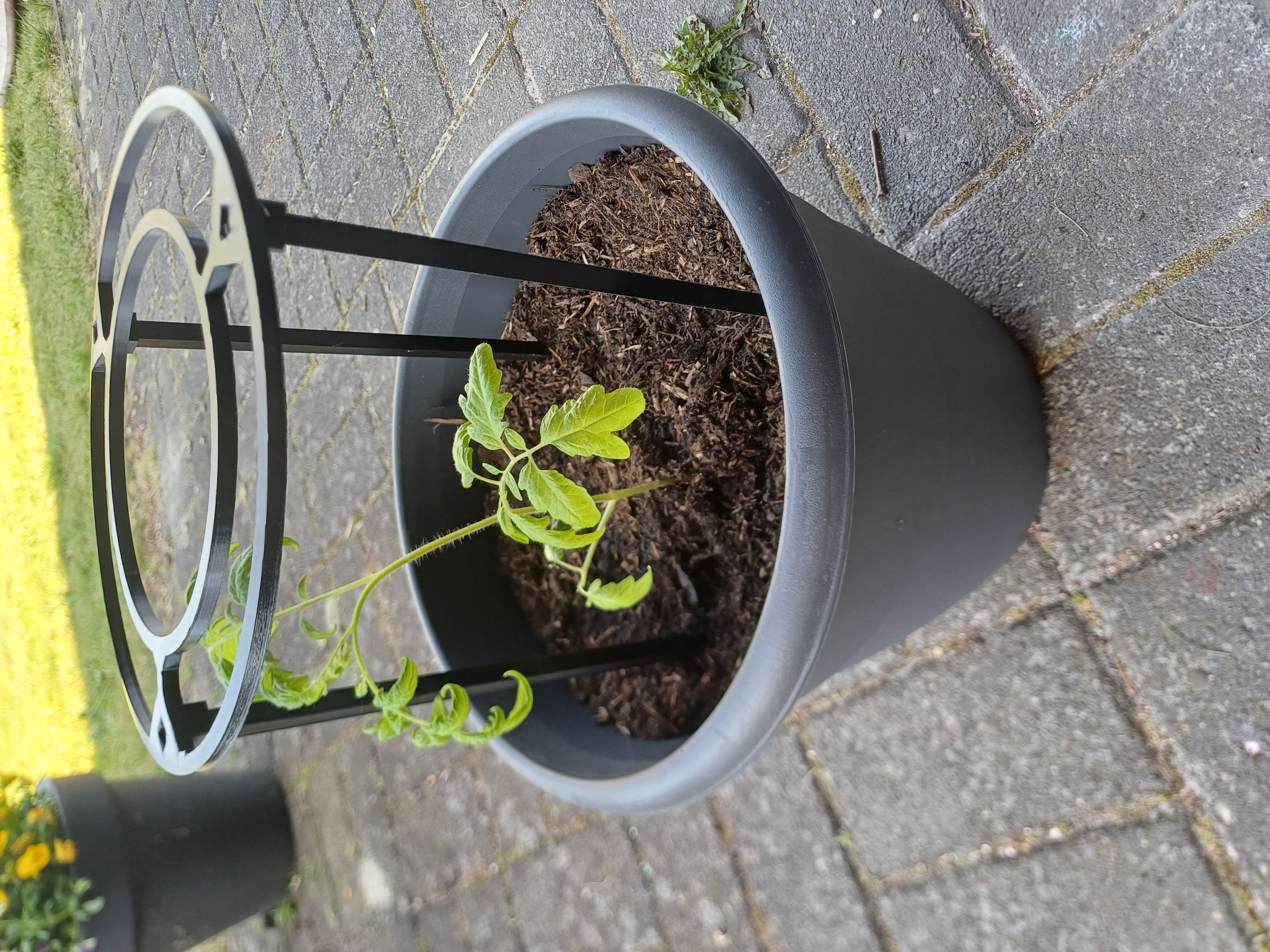 Miniatura 2 do modelo 3D Stackable Tomato Rack