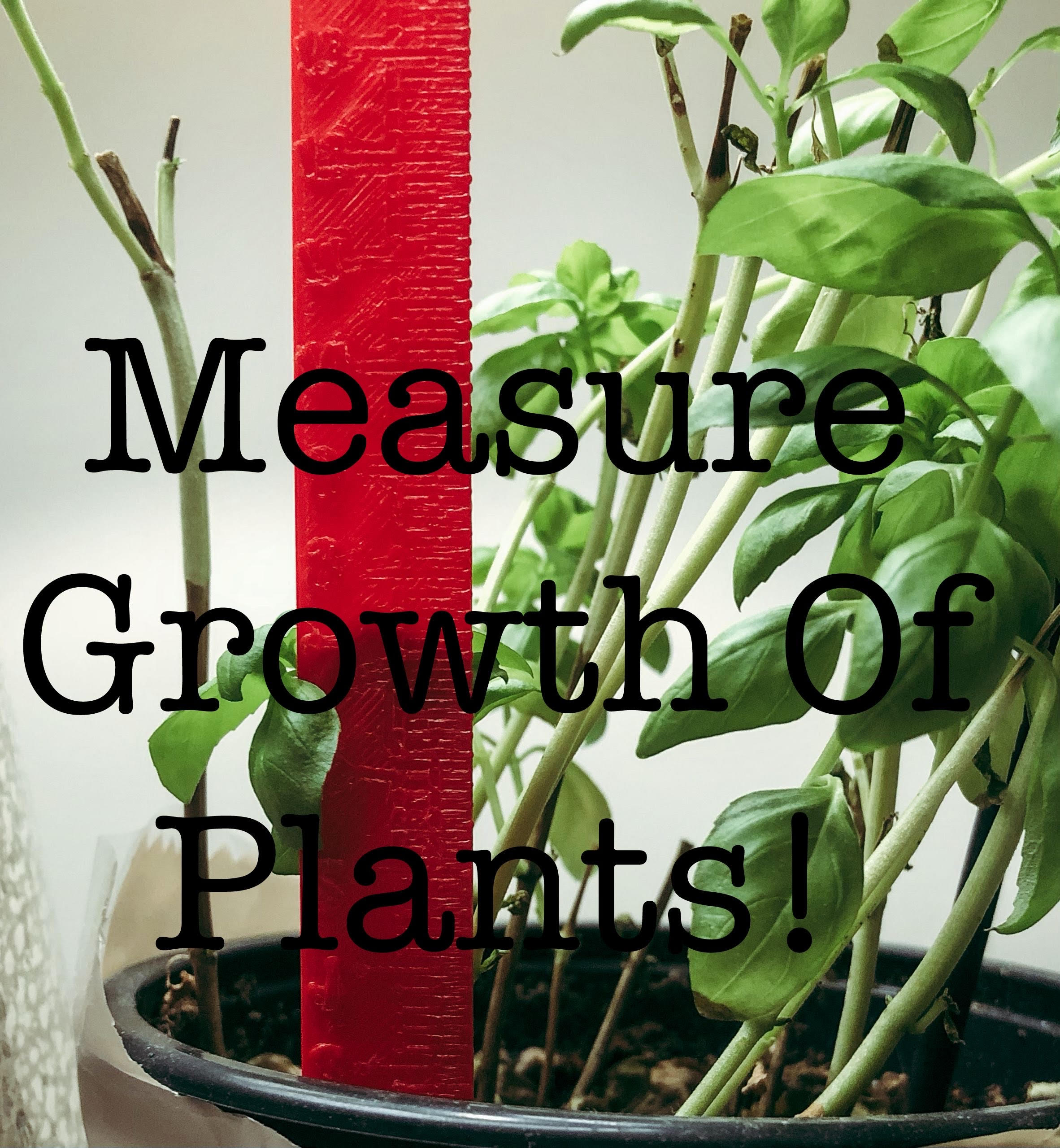 Planting Ruler