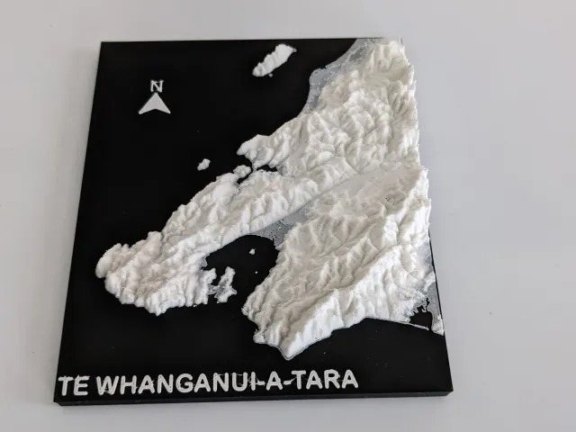 Wellington topological relief plague