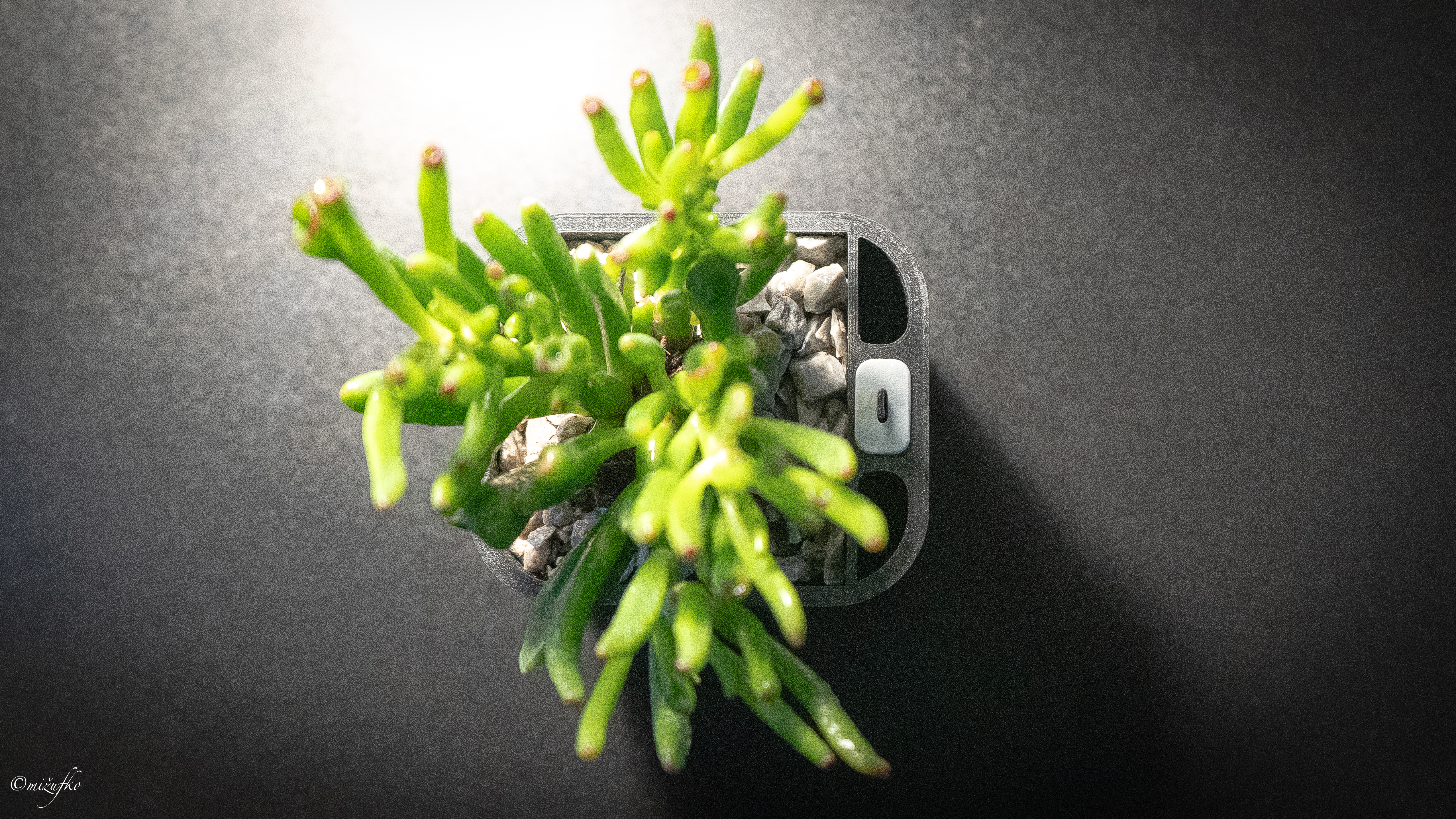 SKÅDIS Self-Watering Planter Insert with Water Level Indicator