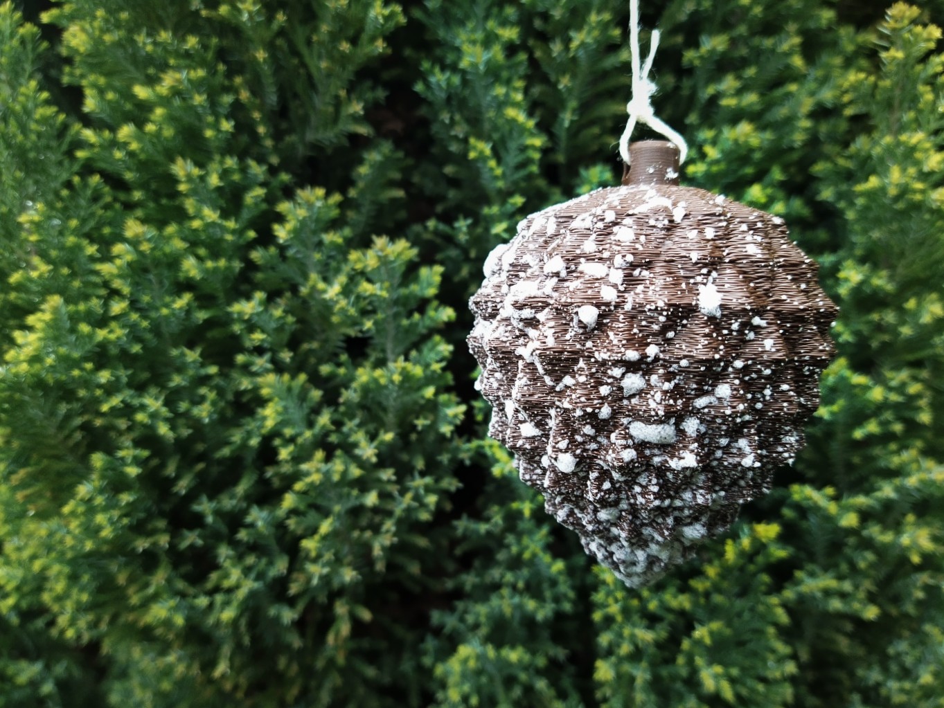 Christmas pine cone