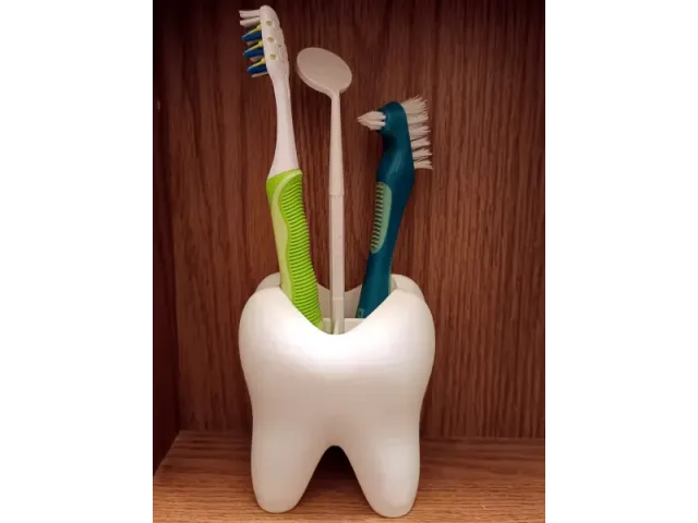 Toothbrush Holder Tooth