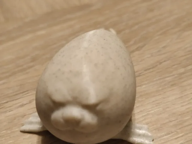 Grumpy seal