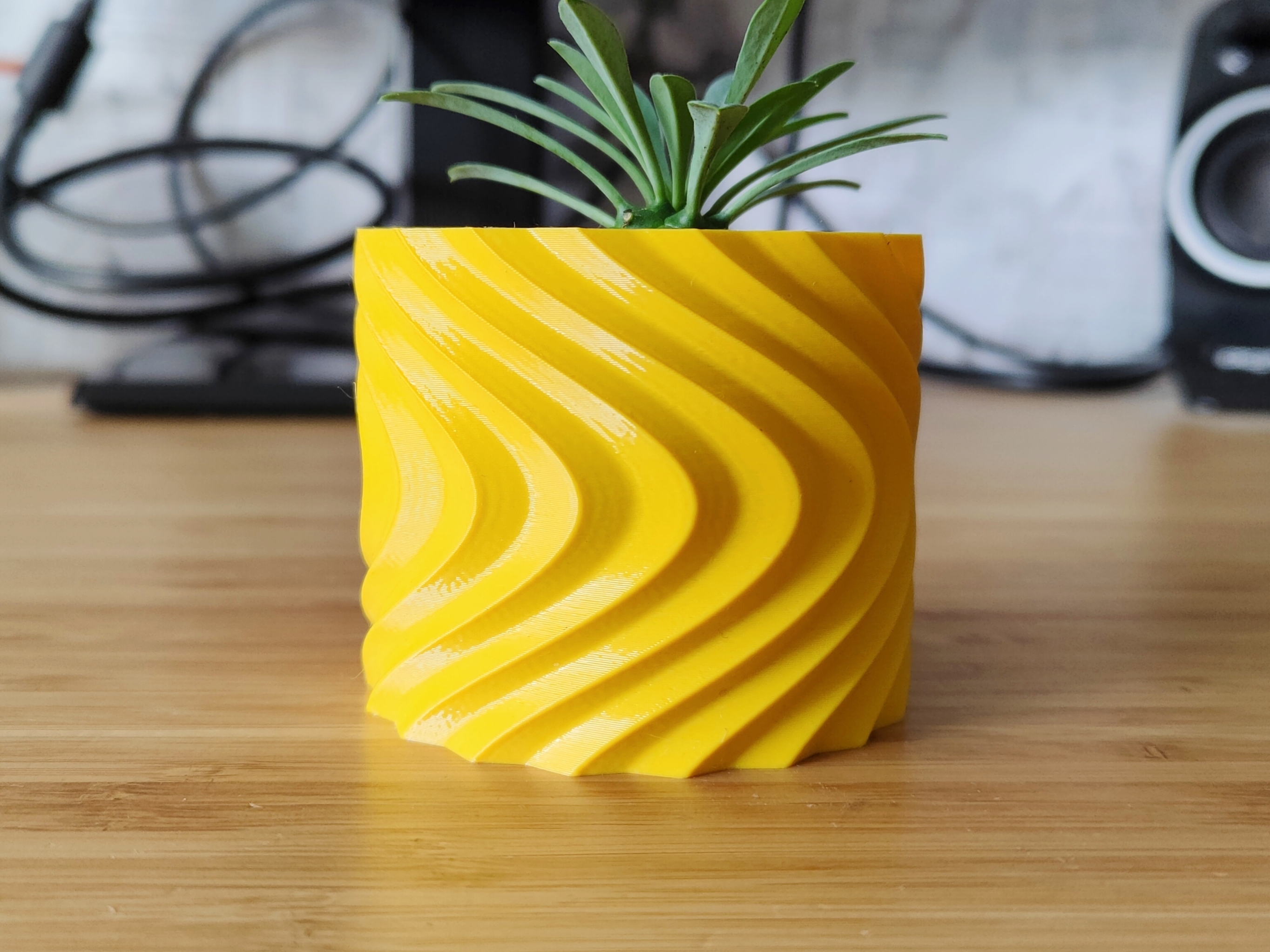 Distortion Pot and Planter - Easy Vase mode
