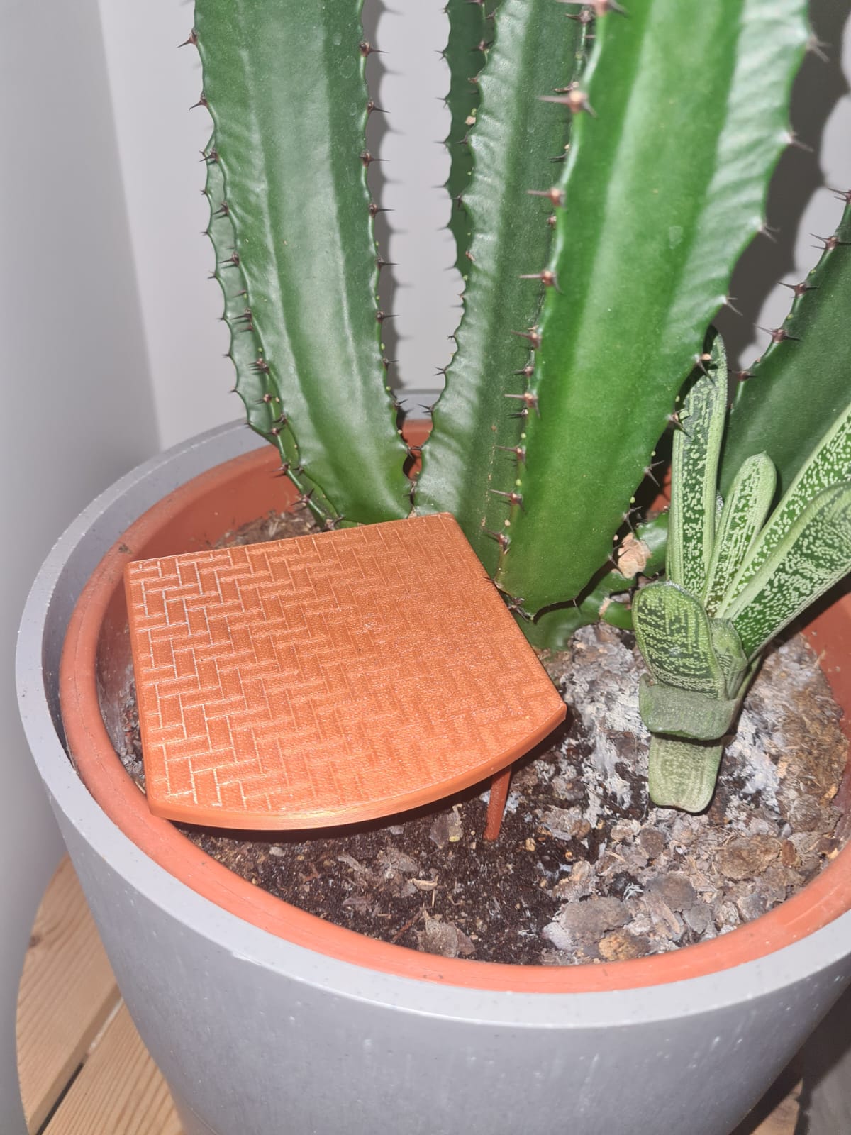 Planter Podium — miniatura 4