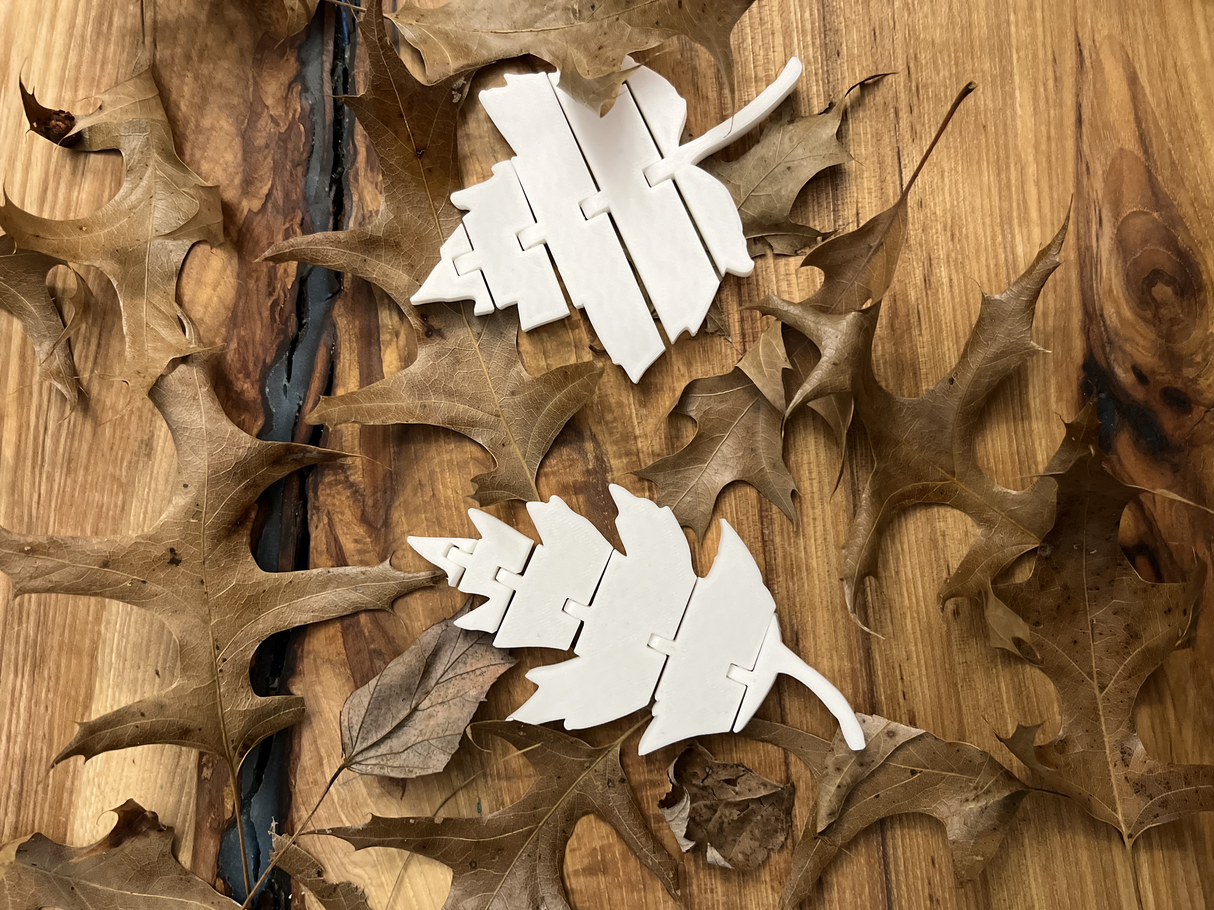 Flexi Articulated Leaves