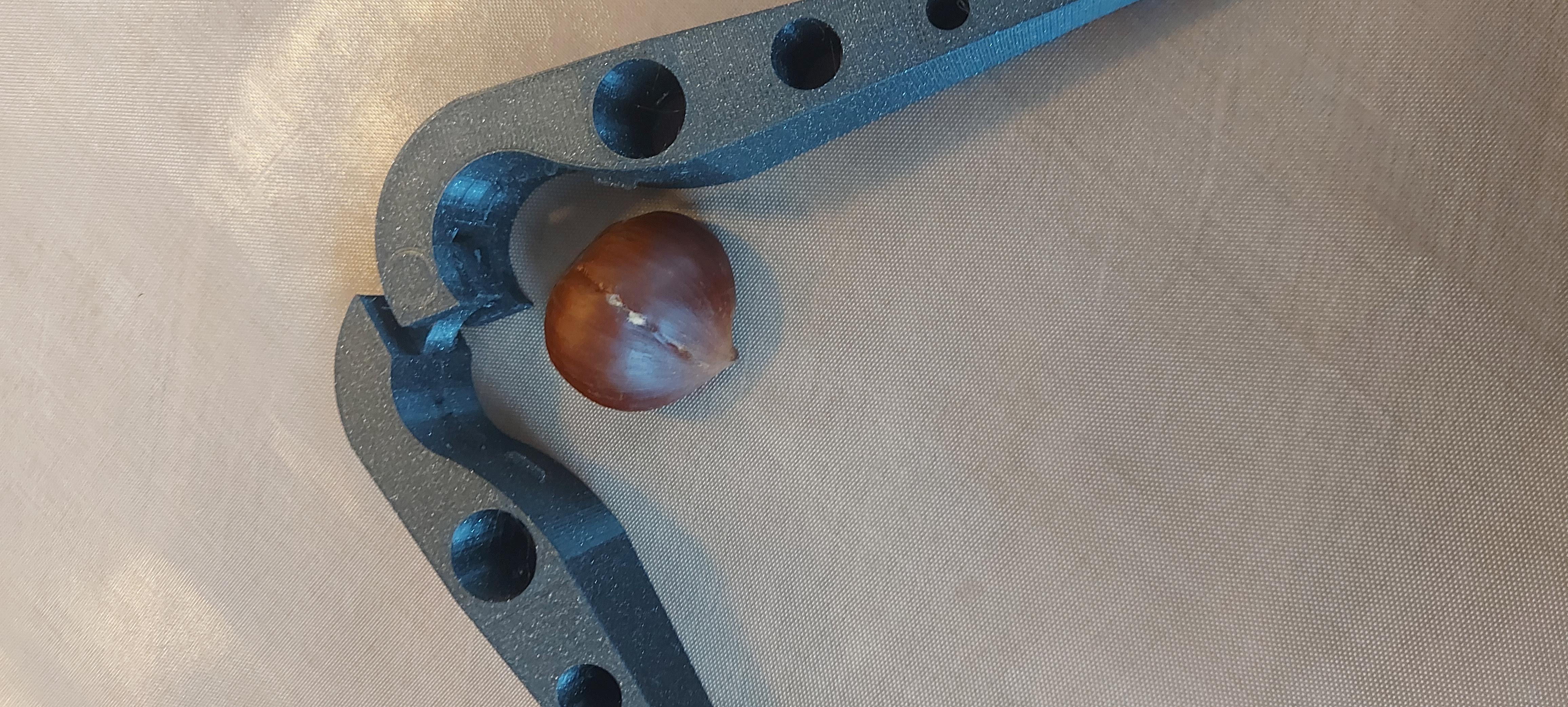 Chestnut Cutter — miniatura 2