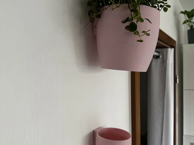 Removable Wall Planter