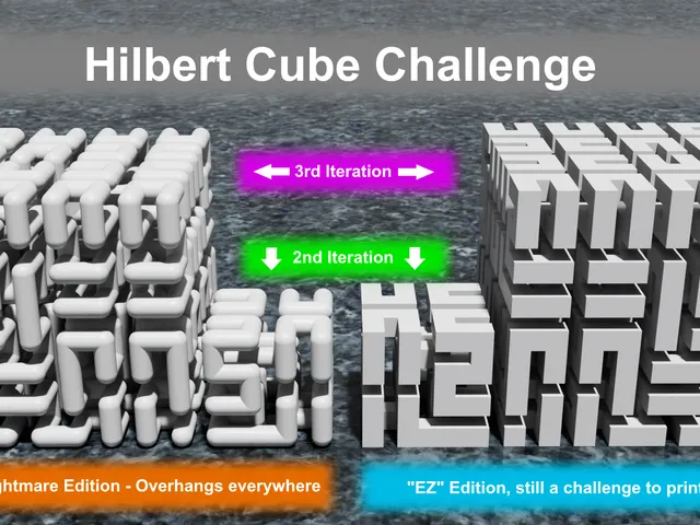 3D Hilbert Curve Support Removal Challenge