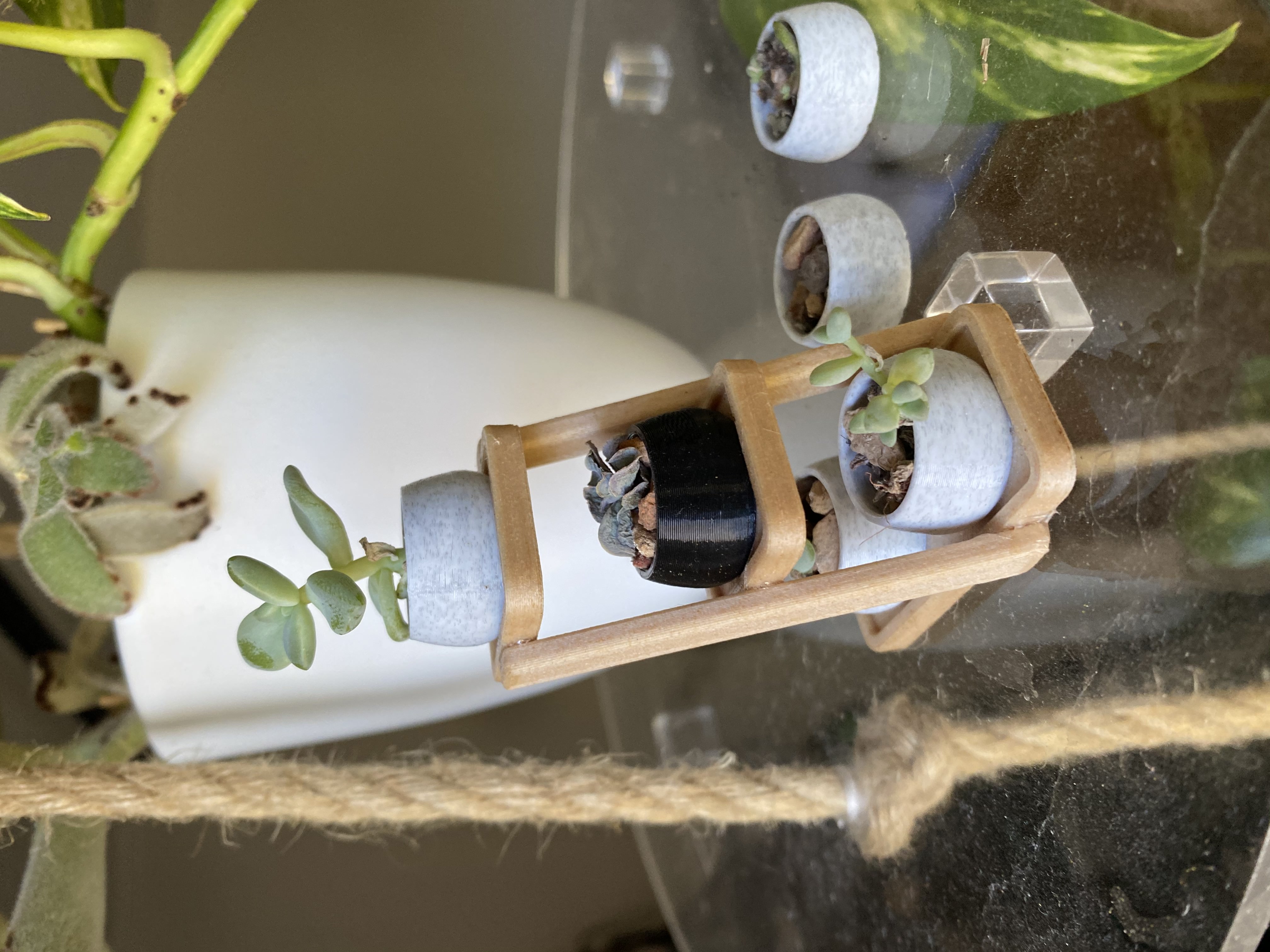 Succulent Pots And Shelf