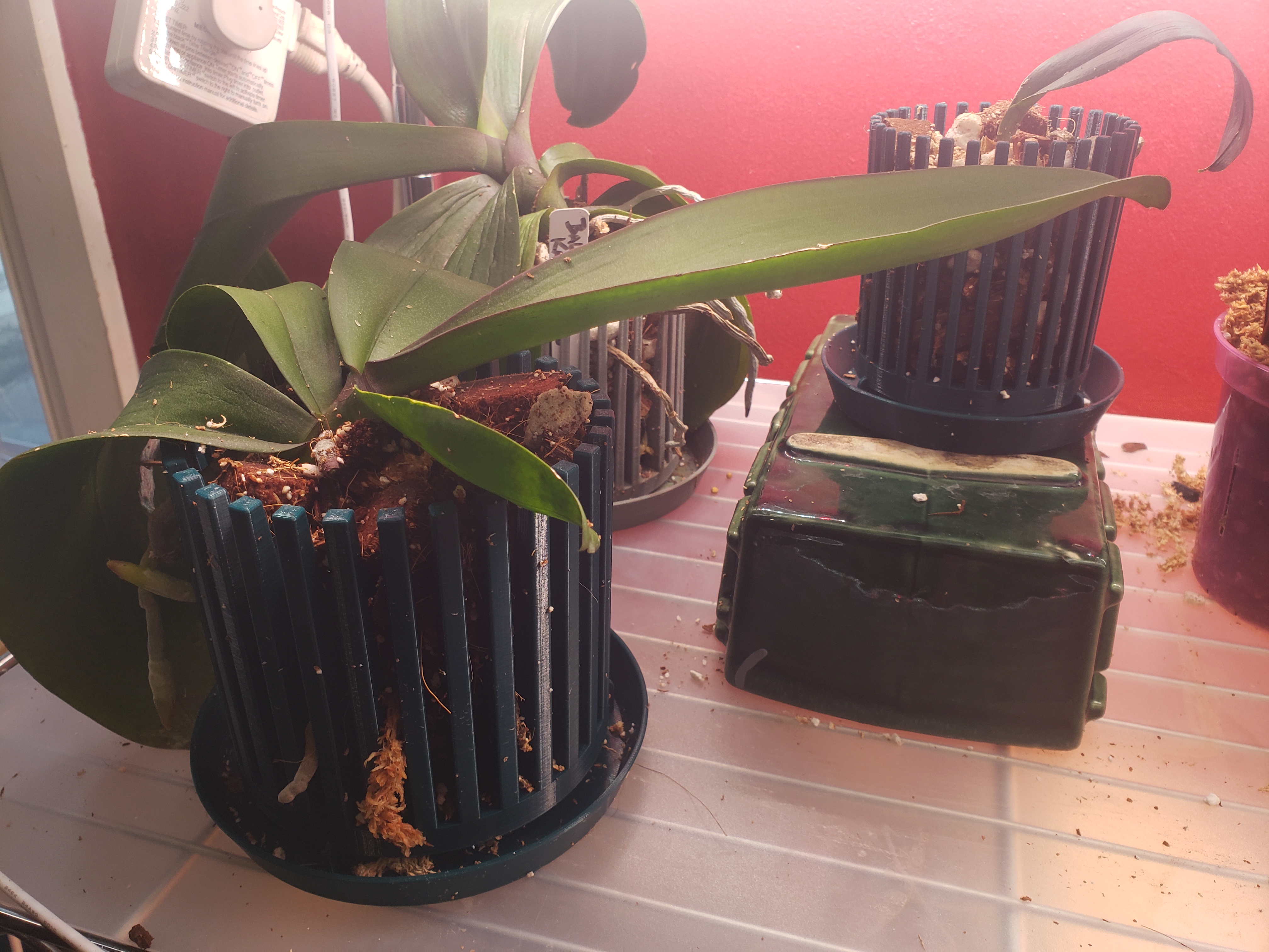 Parametric Orchid Flower Pot