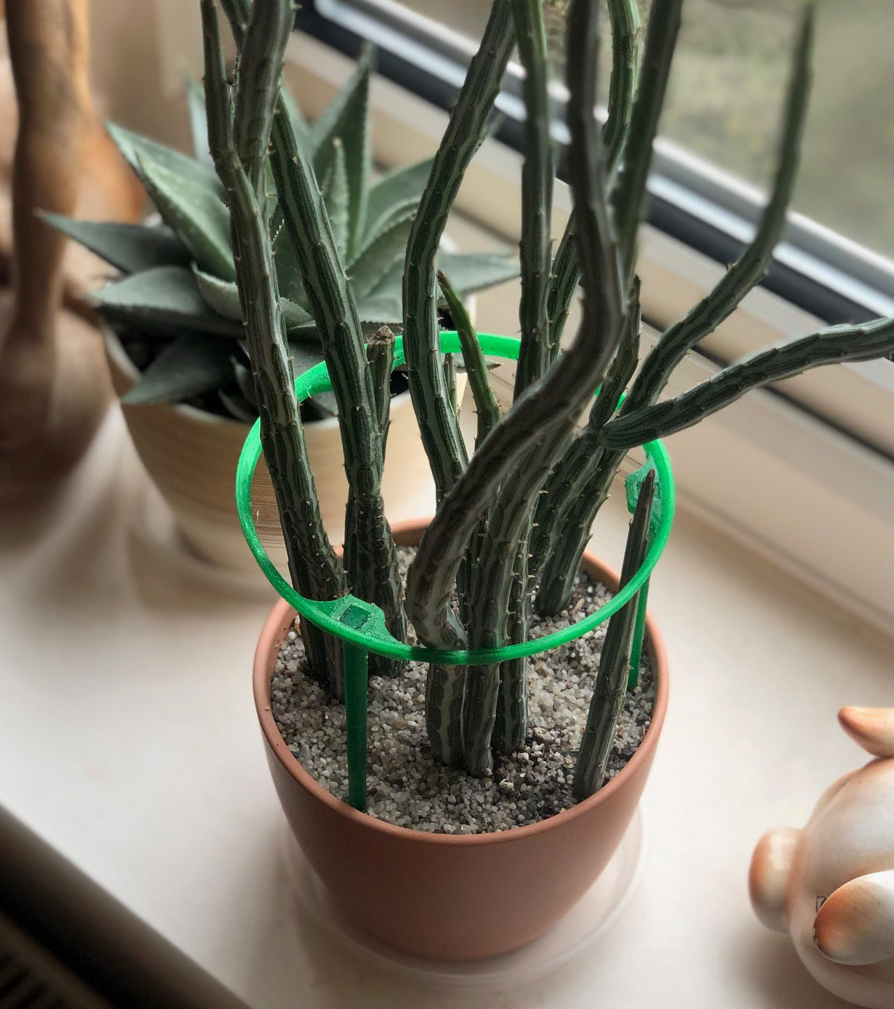 Plant Support