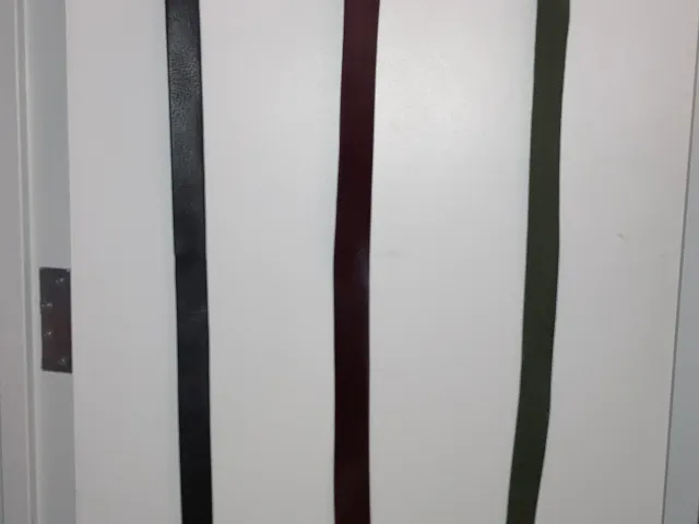 Belt hanger