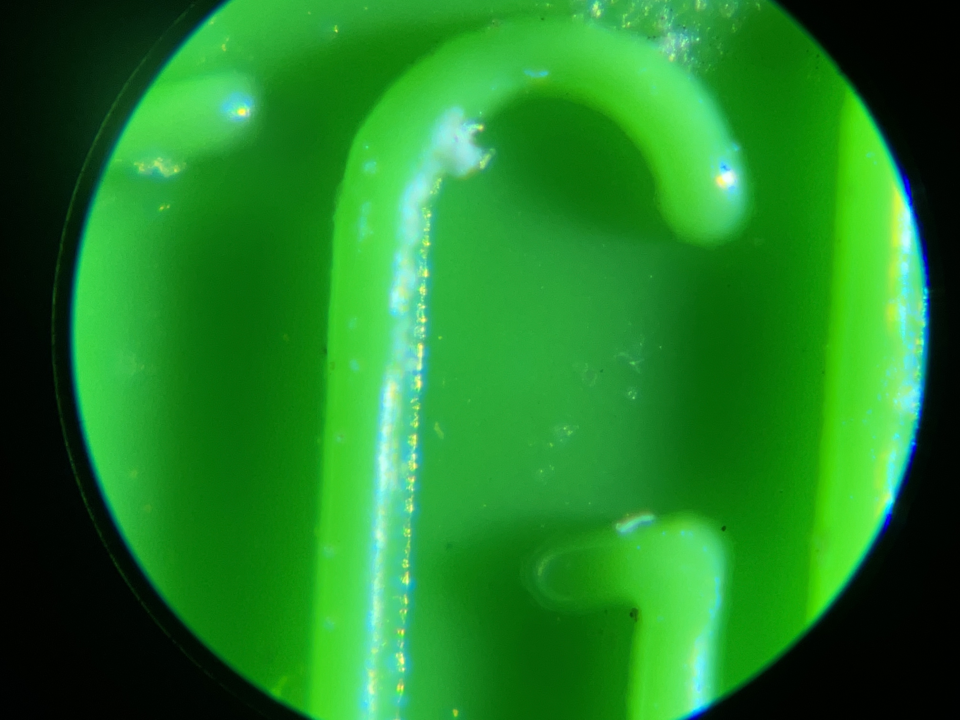Miniatura 4 do modelo 3D Turn your iPhone into a Microscope