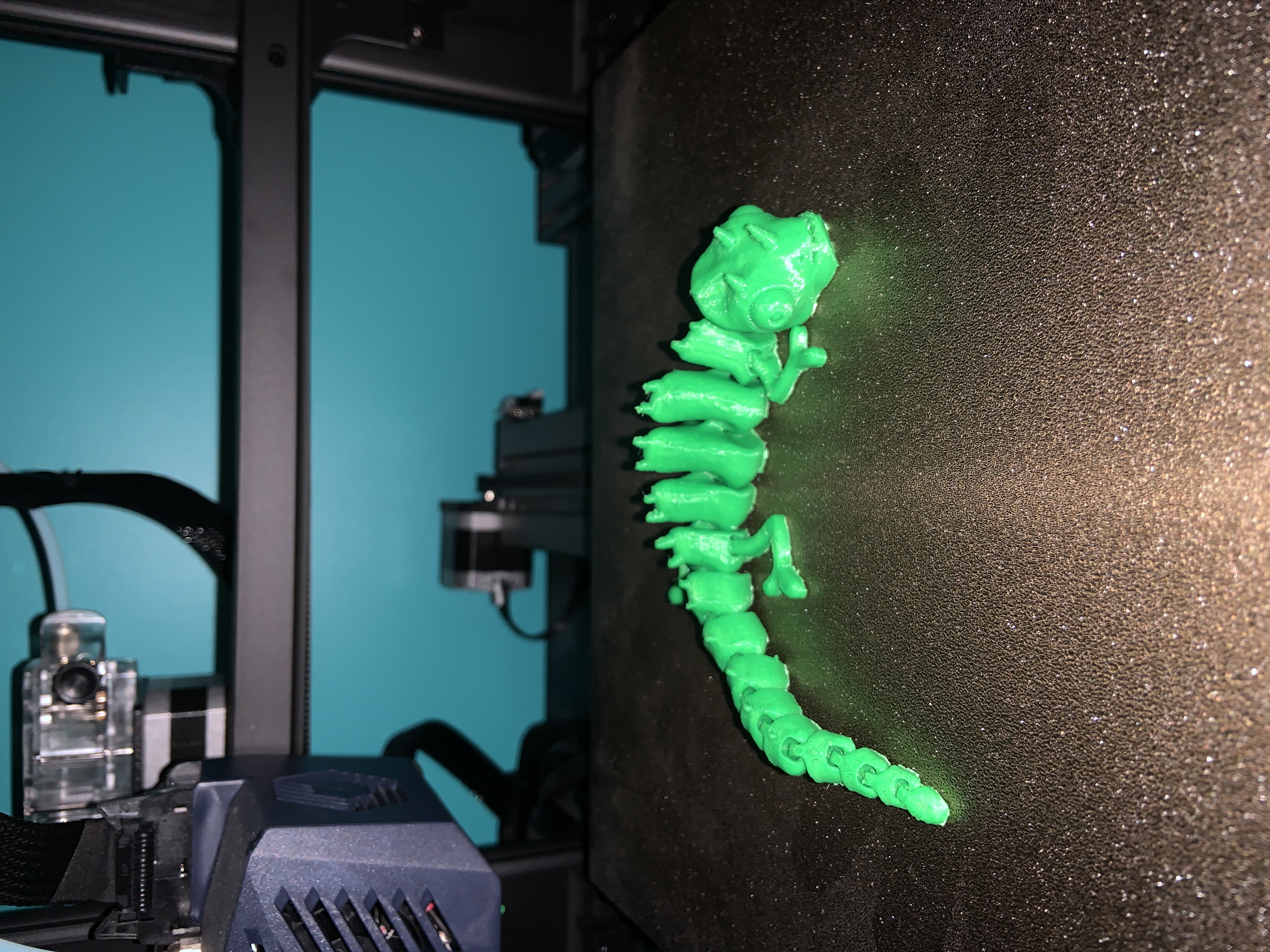 Articulated Chameleon