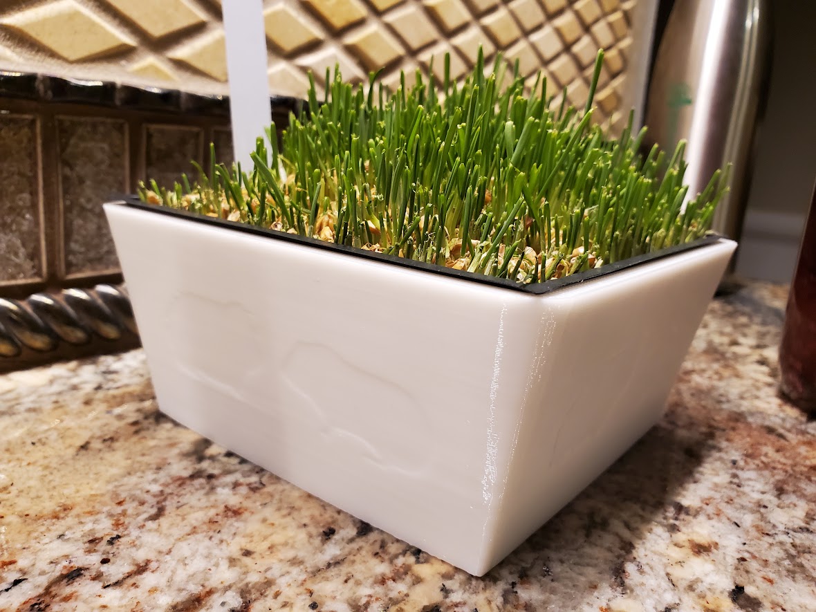 Wheat Grass Container for Guinea Pigs