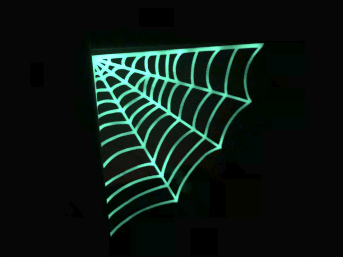 Spiderweb