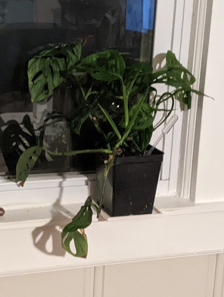 4 inch Plant Shelf Window Sill Extension