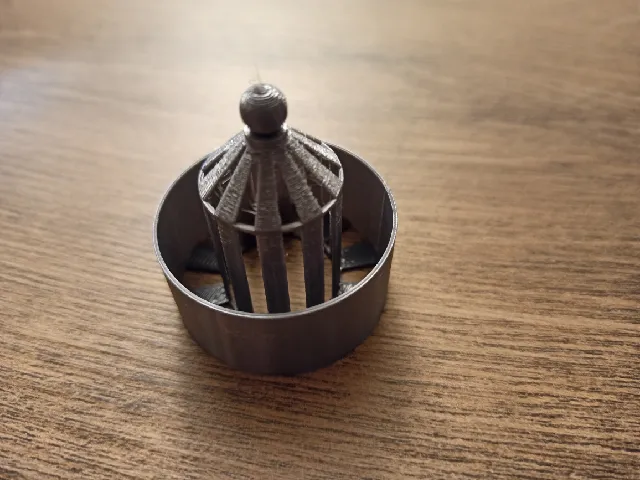 Shower Hair Trap (Duschsieb)