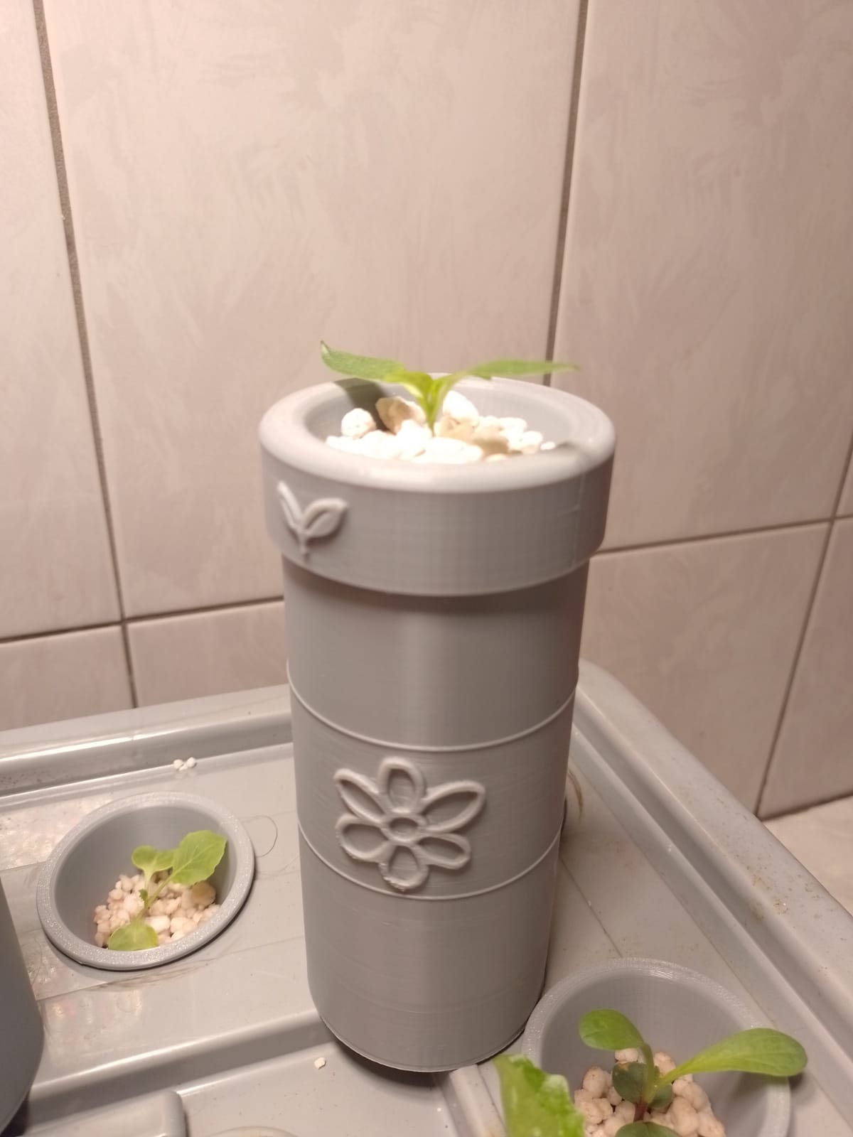 Small Kratky