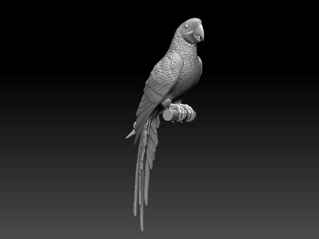 parrot