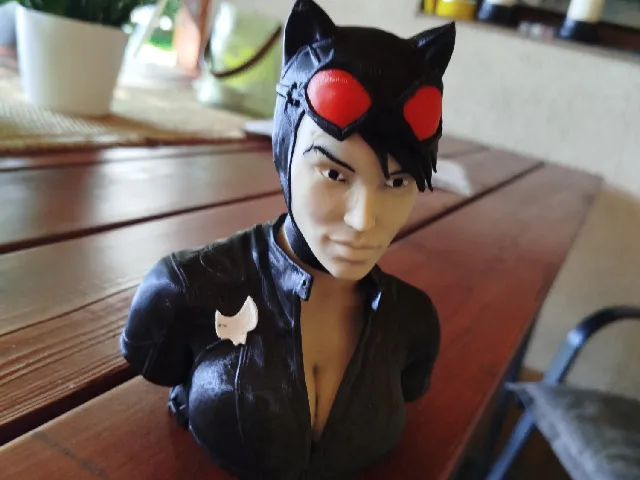 Catwoman bust