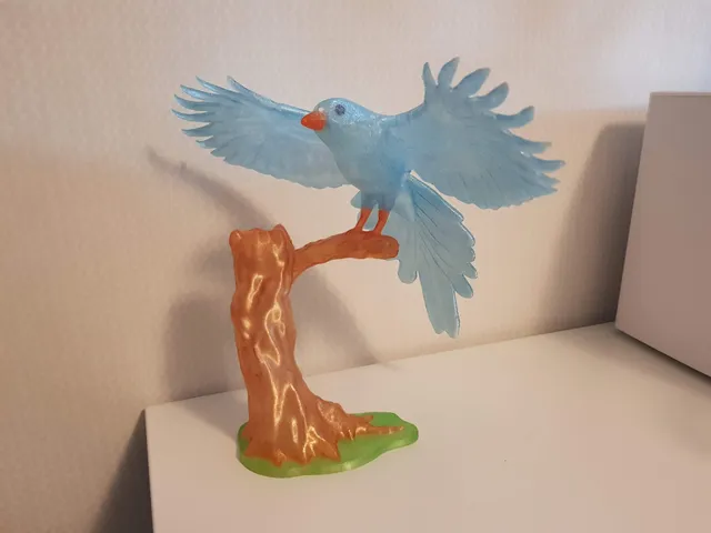 Bird