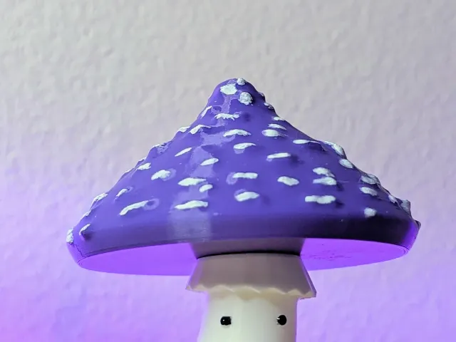 Amanita Mushroom
