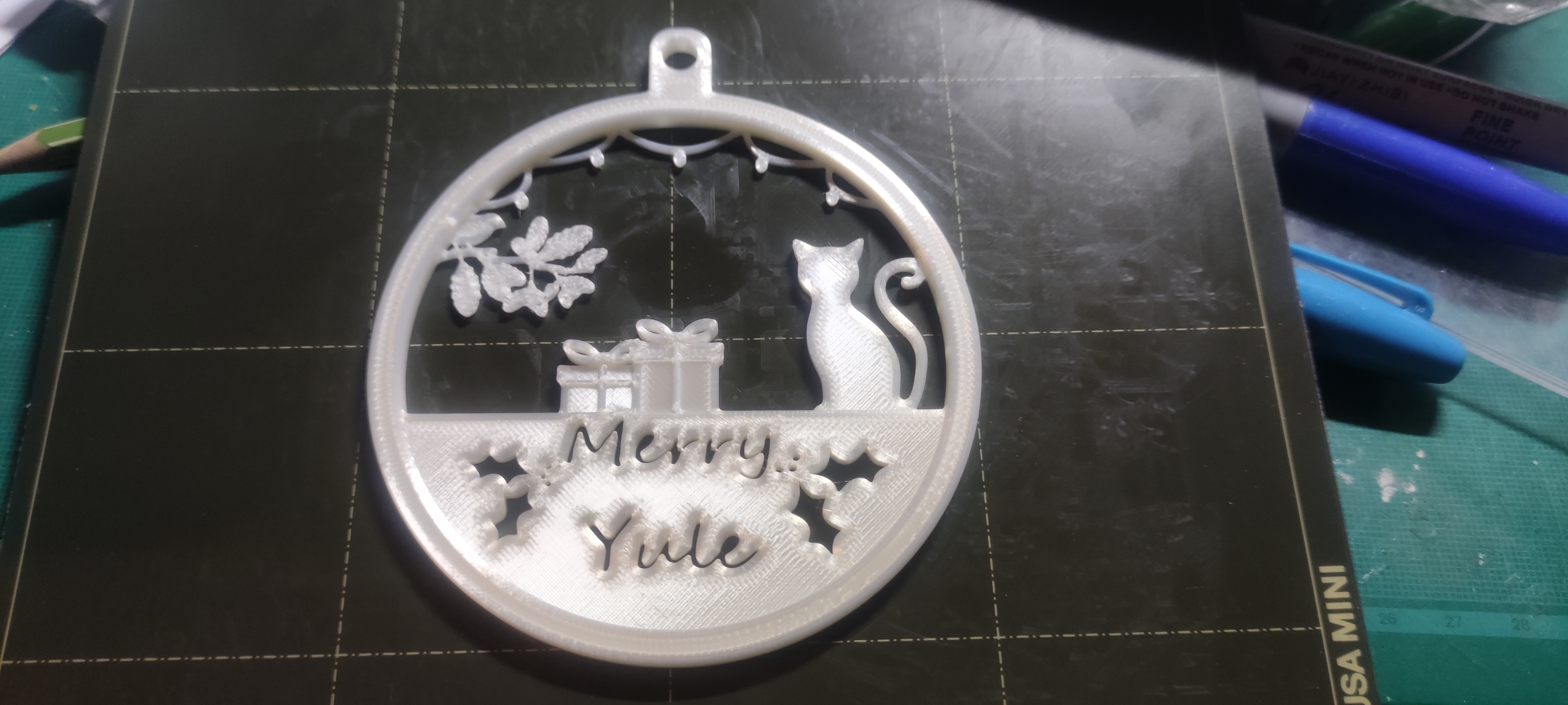 Merry Yule with cat