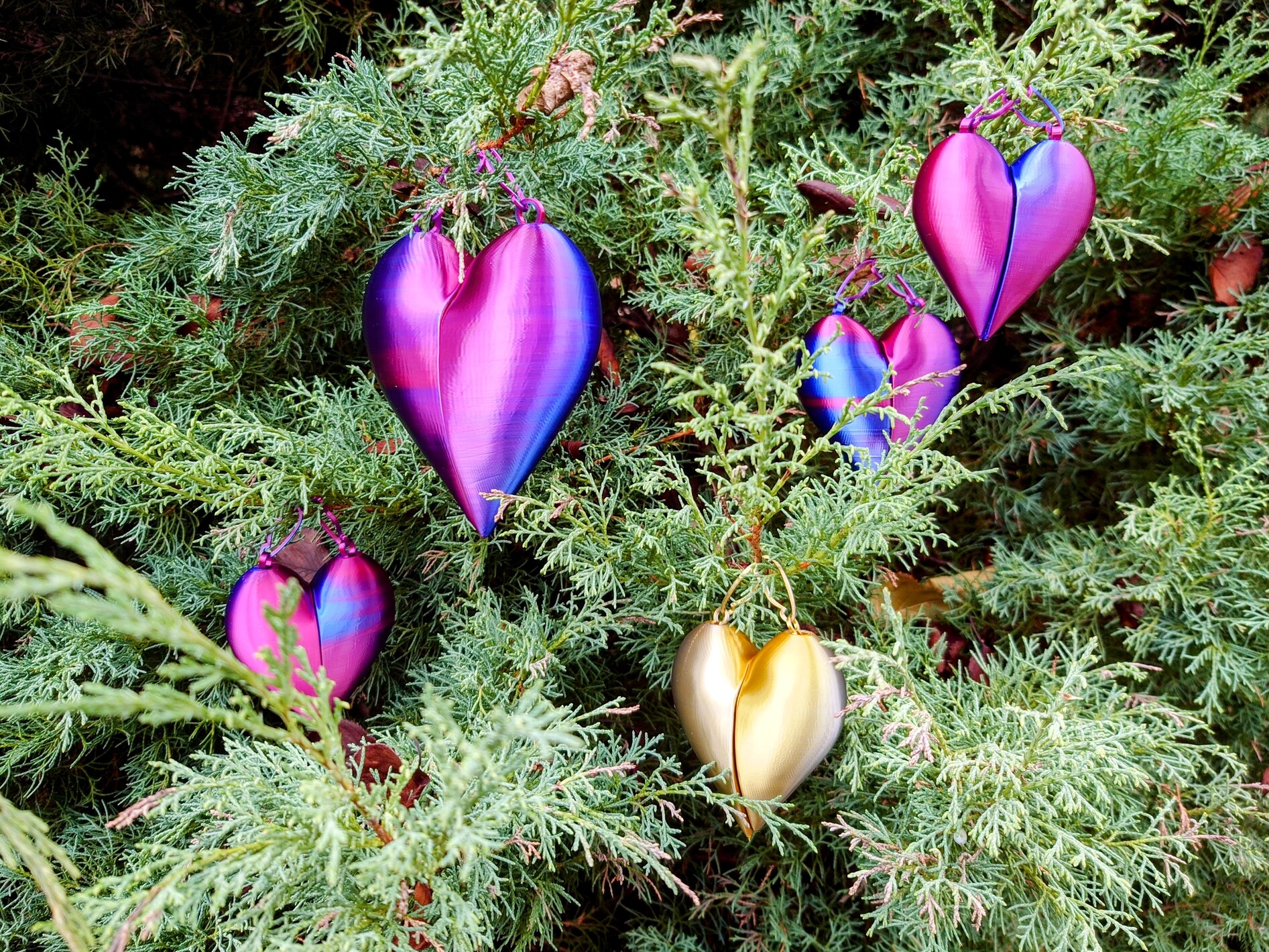 Share your heart (Vase mode (overhang test))