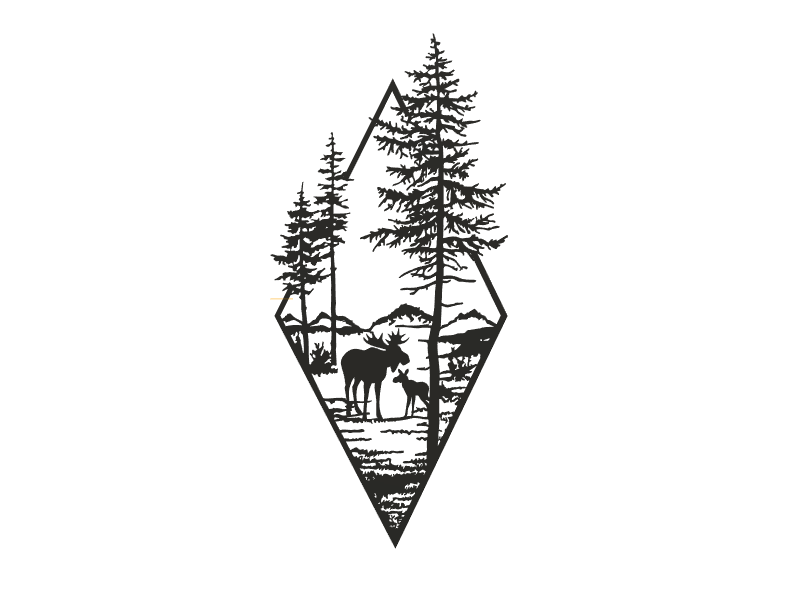 Elk in the woods