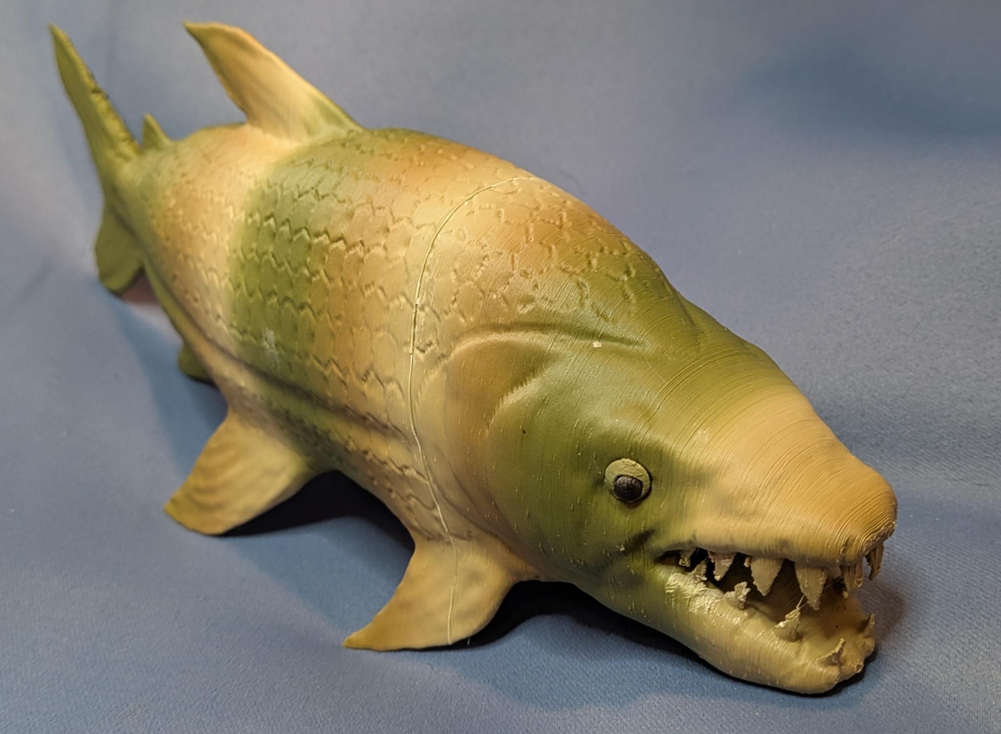 Hydrocynus goliath (Goliath Tigerfish)