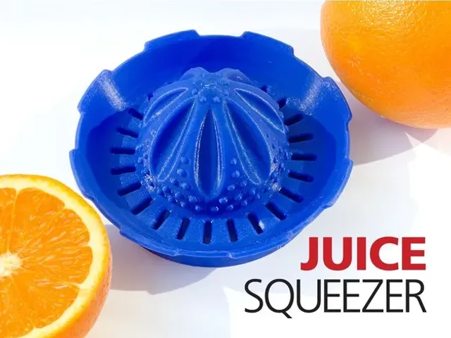 Juicer Squeezer