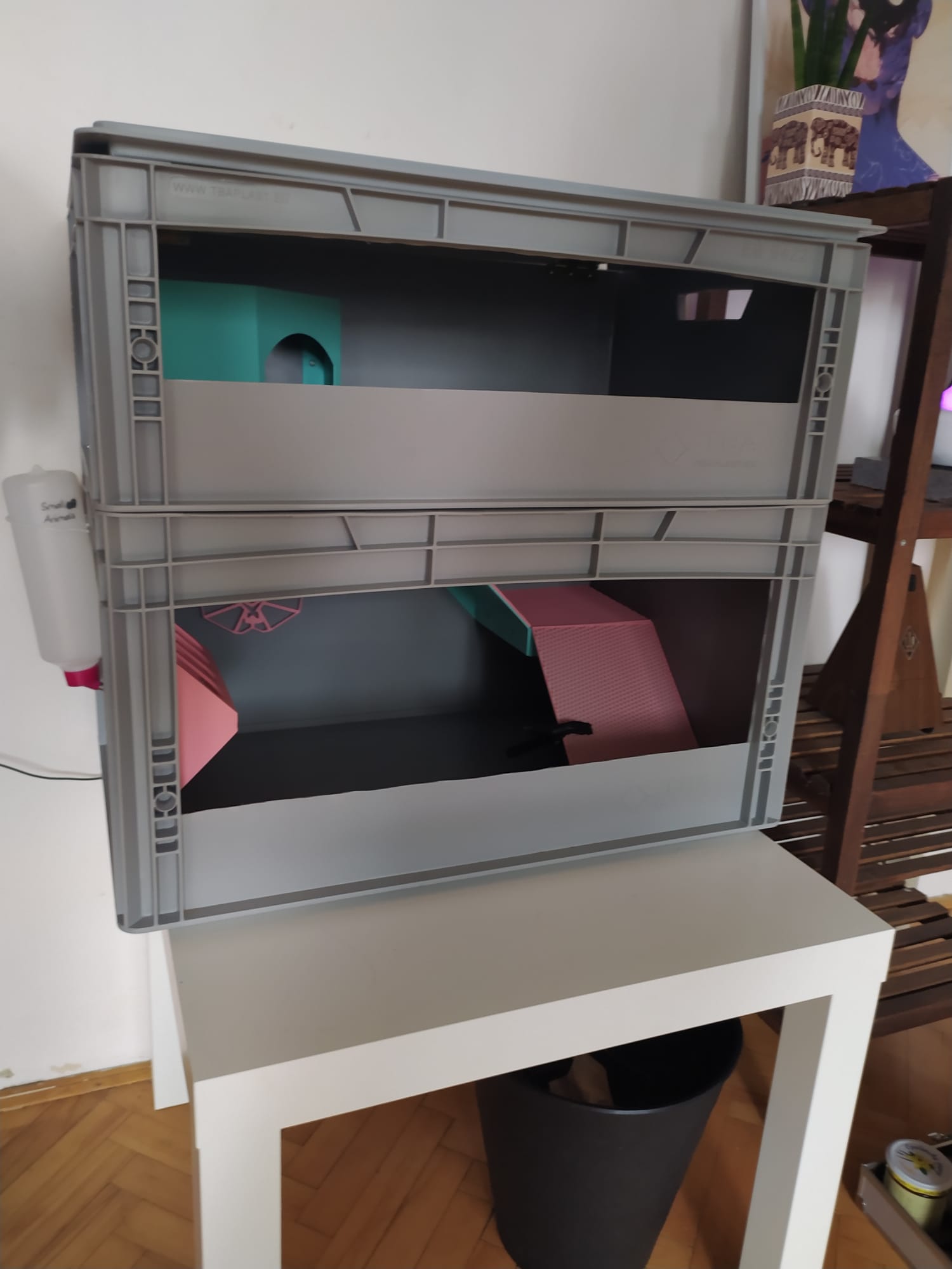 Guinea pig house