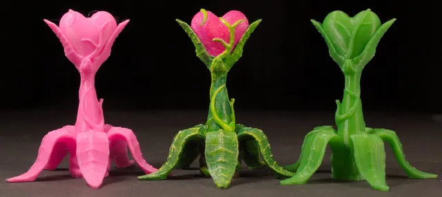 Tabletop plant: Valentine's Day Plant 2019